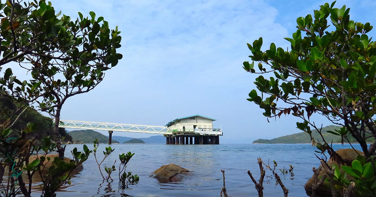 Hoi Ha Marine Life Centre