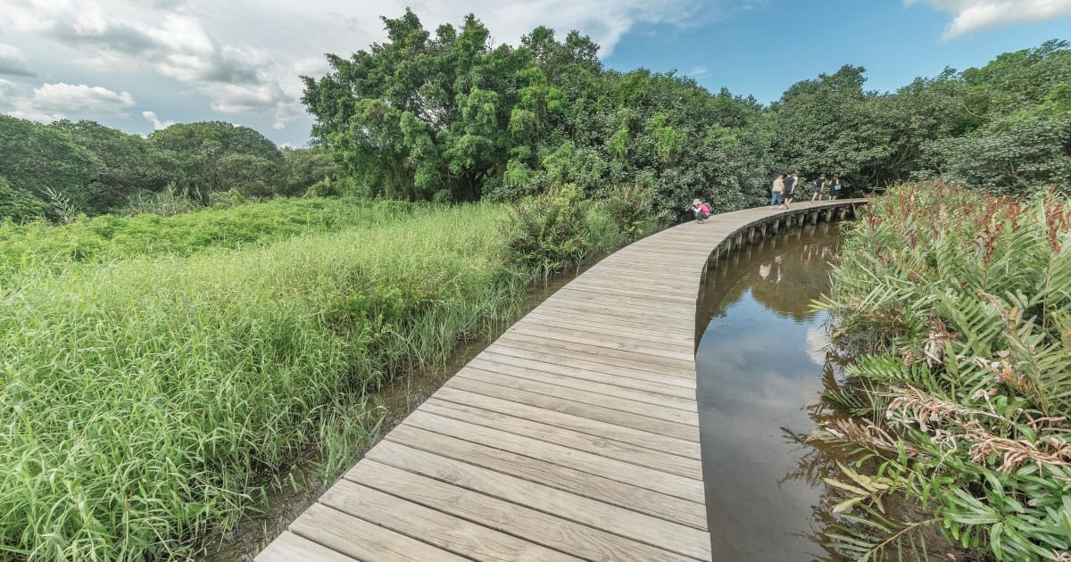 Hong Kong Wetland Park