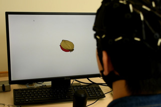 eeg